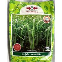 ราคา ผักบุ้งจีนเพชรยอดไผ่ 9 (22951993414)