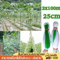 ราคา ตาข่ายปลูกพืชผัก โครงไม้เลื้อย ค้างปลูกผัก อวนปลูกผัก ตาข่ายอวน ค้างแตง ไม้เลื้อย ตาข่ายไนล่อน (27423664586)