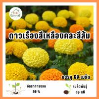 ราคา เมล็ดพันธุ์ดอกดาวเรืองสีเหลืองคละสีส้ม 60 เมล็ด (40926988534)