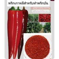 ราคา พริกเกาหลี(เมล็ด) ใช้ทำพริกป่น/กิมจิ 10 เมล็ด (5752643542)