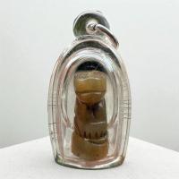 ราคา เขี้ยvเสือไฟแกะ ของเก่าแช่ในตลับสีผึ้ง เลี่ยมพร้อมบูชา มหาอำนาจ กันสัตว์มีพิษ กันคุณไสยสิ่งชั่วร้ายต่างๆ (40965175323)