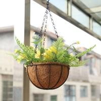 ราคา กระถางแขวนใยมะพร้าว กระถางใยมะพร้าว แถมโซ่แขวน 8/10/12นิ้ว ที่แขวนกระถางต้นไม้ ขนาดใหญ่ ตกแต่งระเบียงห้องนั่งเล่น (40211455158)