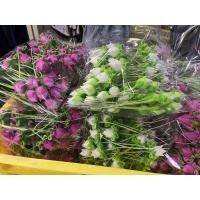 ราคา ดอกบัวดินปั้น สำหรับจัดช่อ 1แพ๊ค ดอกบัวตูม30ดอก ดอกบัวพับ40ดอก (43527056699)