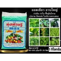 ราคา ปุ๋ยเคมี ทุ่งเศรษฐี 25-5-5 1 กิโลกรัม (47050243394)
