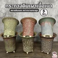 ราคา กระถางดินเผาเนื้อเบา ลายดินแตก #ปากบานทรงสูง5นิ้ว กระถางต้นไม้ ไม้อวบน้ำ กุหลาบหิน cactus&succulentหลากหลายสายพันธุ์ (8273409659)