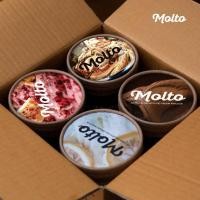 ราคา ‼️Set 4 ถ้วย ส่งฟรี‼️ มอลโต้ ไอศกรีม 16 ออนซ์ - Molto Premium Gelato - Ice cream 16 oz. (5192807889)
