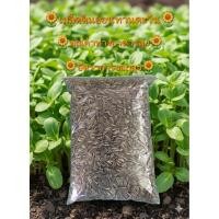 ราคา เมล็ดต้นอ่อนทานตะวันลายไทย เมล็ดเพาะต้นอ่อน อัตราการงอกสูง บรรจุ 100g,500g,1kg (51202628093)