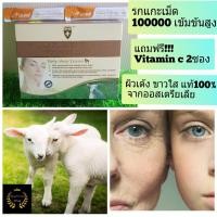 ราคา รกแกะ 100000 เข้มข้นสูงสุดExp07/2027 รกแกะ Sheep Placenta รกแกะอาหารเสริม รกแกะเม็ด bio sheep placenta รกแกะ wealthy (7880835329)