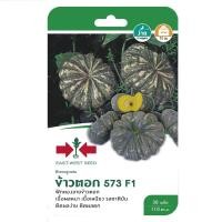 ราคา ข้าวตอก573ฟักทองF1ศรแดงGG*600 (27319519848)