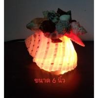 ราคา โคมไฟหอยโข่งจุดขนาด6นิ้ว (15190864735)