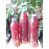 ราคา จุลินทรีย์สังเคราะห์แสง-สามารถขยายต่อได้ (18449246123)