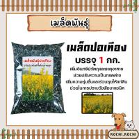 ราคา เมล็ดพันธุ์ปอเทือง บรรจุ 1กิโลกรัม เมล็ดปอเทือง เม็ดปอเทือง สายพันธ์ปอเทือง พันธุ์ปอเทือง เม็ดพันธุ์ปอเทือง ดอกปอเทือง (26765471246)