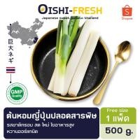 ราคา Oishi-Freshต้นหอมญี่ปุ่น ปลอดสารพิษ 1 กก.รสชาติกรอบ สด ใหม่ ใยอาหารสูง หวานออร์แกนิด เคลมได้ 1-2 วัน (29173775669)