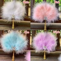 ราคา พัดขนนก หลากสีสัน สีแดง สีขาว สไตล์จีน สําหรับตกแต่งงานปาร์ตี้ฮาโลวีน (25907099611)