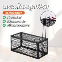ราคา กรงดักหนูแบบมีโครง กรงดักหนูนา กรงดักหนูเล็ก พับเก็บได้ ไม่เปลืองพื้นที่ mouse traps ใช้ซ้ำได้ (25694926073)