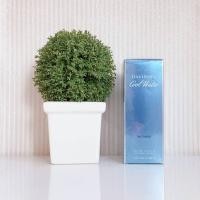 ราคา Davidoff Cool Water for Women EDT 100 ml (4090055996)