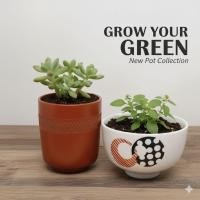 ราคา กระถางเซรามิกญี่ปุ่นมือสอง กระถางต้นไม้ บอนไซเซรามิก stock W (3741590046)