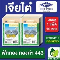 ราคา เมล็ดพันธุ์ ผักซอง ฟักทองข้าวตอก ทองคำ443 CT25 ตราเจียไต๋ บรรจุแพ็คละ 10 ซอง (25176056120)
