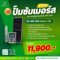 ราคา ปั้มซับเมอร์ส Dc300 วัตต์ (28129740487)