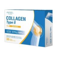 ราคา Amsel Collagen type II plus curcumin คอลลาเจนไทป์ทู บำรุงข้อกระดูก (30 แคปซูล) (19465211575)