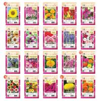 ราคา เมล็ดพันธุ์ ดอกไม้ เจียไต๋ ชุดที่ 1 (ซอง) เบญจมาศ ดาวกระจาย ดาวเรือง บานชื่น สร้อยไก่ แอสเตอร์ ทานตะวัน บลูซัลเวีย ฯลฯ (6736405552)