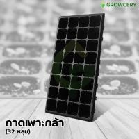 ราคา [G.] ถาดเพาะ เมล็ด เพาะกล้า ถาดหลุม จำนวน 32 หลุม (หนา 1.5 มม.) ถาดหลุม โดย GROWCERY (13420688158)
