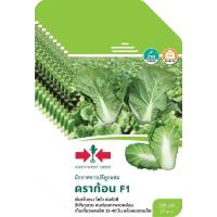 ราคา เมล็ดพันธุ์ ผักกาดขาวปลีลูกผสม ดราก้อน F1(เมล็ดเคลือบ) ตราศรแดง ขายส่ง ยกห่อ (1 ห่อ บรรจุ 10 ซอง) (48853444911)