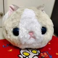 ราคา ตุ๊กตาน้องแมว Amuse สุดน่ารัก ของแท้จากญี่ปุ่น ป้ายห้อยมือ 1 จาก Web Toreba (4733507523)