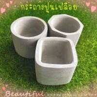ราคา กระถางต้นไม้ปูนเปลือย (12972233190)