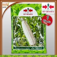 ราคา เมล็ดพันธุ์ ข้าวโพดข้าวเหนียวหวาน สวีทไวท์ 25 F1 (1 กิโลกรัม) เมล็ดข้าวโพดหวานศรแดง เมล็ดพันธุ์ผักสวนครัว ตราศรแดง (8919465544)