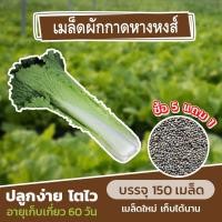 ราคา เมล็ดพันธุ์ ผักกาดหางหงส์ แบ่งขาย 150 เมล็ด (ซื้อ 5 แถม 1)✨ (10558822894)
