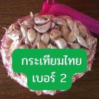 ราคา กระเทียมไทยแกะกลีบเบอร์ 2 กลาง 1 กก ราคา ถูก / ส่งราคา ถูก (48102142239)