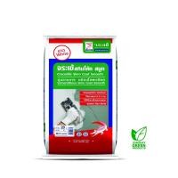 ราคา จระเข้ สกิมโค้ท สมูท ซีเมนต์แต่งผิวบาง ชนิดเนื้อละเอียด ขนาด 5 กก. (9888941445)