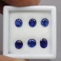 ราคา พลอย ไพลิน แซฟไฟร์ แท้ ธรรมชาติ ( Natural Royal Blue Sapphire Pailin Cambodia ) 6 เม็ด หนักรวม 2.75 กะรัต (21351159707)