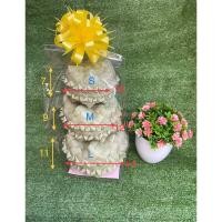 ราคา กล่องใส่ข้าวเหนียวใบตาล ของฝากทำจากใบตาล (20687143119)