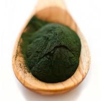 ราคา Fitfood -Spirulina 90 capsules (สาหร่ายสไปรูลินา) 90 แคปซูล (20060273380)