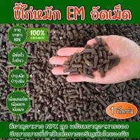 ราคา ขี้ไก่อัดเม็ด ขี้ไก่หมัก EM อัดเม็ด มูลไก่อัดเม็ด 1 กิโล ผลิตจากมูลไก่ไข่แท้ 100% ธาตุอาหารสูง ปุ๋ยคอก ปุ๋ยอินทรี ปุ๋ย (29425281980)