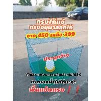ราคา กรงอนุบาลลูกไก่ กรงไก่แจ้ กดครั้งละไม่เกิน2กรงต่อออเดอร์ ไม่รวมมุ้งกับกระบอกน้ำจ้า❗(❌พื้นดามแข็งแรงมากประกอบง่ายเพียง5นา (5045052099)