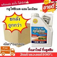 ราคา (ยกลัง) ยาฆ่าหญ้า กลูโฟซิเนต-แอมโมเนียม ขนาด 4 ลิตร ประสิทธิภาพสูง กำจัดวัชพืชดื้อยา ทั้งใบแคบ ใบกว้าง เห็นผลไว (50302304466)