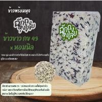 ราคา [0.5 กก] ข้าวขาว กข43 ผสมข้าวหอมนิล หอม นุ่ม อร่อย ไม่ต้องผสมเพิ่ม (43374651819)