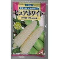 ราคา เมล็ดพันธุ์ข้าวโพดหวานนมสดสีขาวทานดิบได้ ฮอกไกโด เพียวไวท์ (รุ่นดั้งเดิม) ซองแท้ 2000 เมล็ด นำเข้าจากญี่ปุ่น (6854740993)