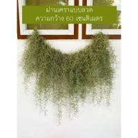 ราคา ม่านเคราฤาษีสำเร็จพร้อมแขวน กว้าง 60 เซน ยืดขยายความกว้างได้ถึง 80 เซน หนวดฤาษี (Spanish Moss) (27953719881)