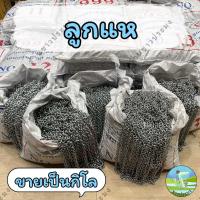 ราคา ลูกแห ขายเป็นกิโล เบอร์ 10,11,12,13,14 หรือเบอร์ 1-5 โซ่ถ่วงผ้าม่าน โซ่ลูกแห โซ่เหล็ก โซ่ถ่วงม่าน แห (22089510033)