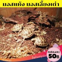 ราคา มอสแห้ง มอสเลี้ยงเต่า Sphagnum moss สแฟ็กนั่มมอส น้องเต่ากินได้ Vivarium Exotic pet (5184875935)