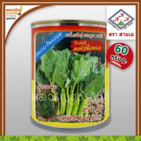 ราคา เมล็ดพันธุ์คะน้า คะน้าเห็ดหอม คะน้าใบเห็ดหอม 3A (60 กรัม) เมล็ดคะน้าหวาน เมล็ดคะน้าปลาทอง เมล็ดพันธุ์ผักสวนครัว ตราสามเอ (13663523713)
