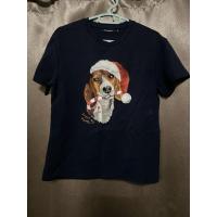 ราคา Royal ivy regatta เสื้อยืดแท้ มือสอง S (42319270500)