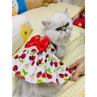 ราคา สตรอเบอร์รี่โบว์แดง ชุดหมาแมว แบรนด์อาราเล่ (24258412316)