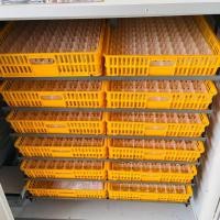 ราคา ถาดฟักไข่ไก่ 88 ฟอง ถาดนกกระทา 221ฟอง 50x36x3 cm (3616660154)