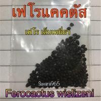 ราคา เฟโร เฟอโร เฟโรแคคตัส เมล็ด กระบองเพชร เฟอโรแคคตัส เฟโรเล็บเหยี่ยว Ferocactus Wislizeni แคคตัส (3601959443)