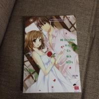ราคา นิยายมือ2 Hi destinyสะดุดรักผิดสเป็ก (592086583)